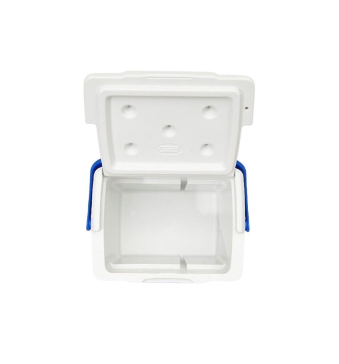 Coleman Excursion Portable Cooler, 9 Quart - The Adventure Hut