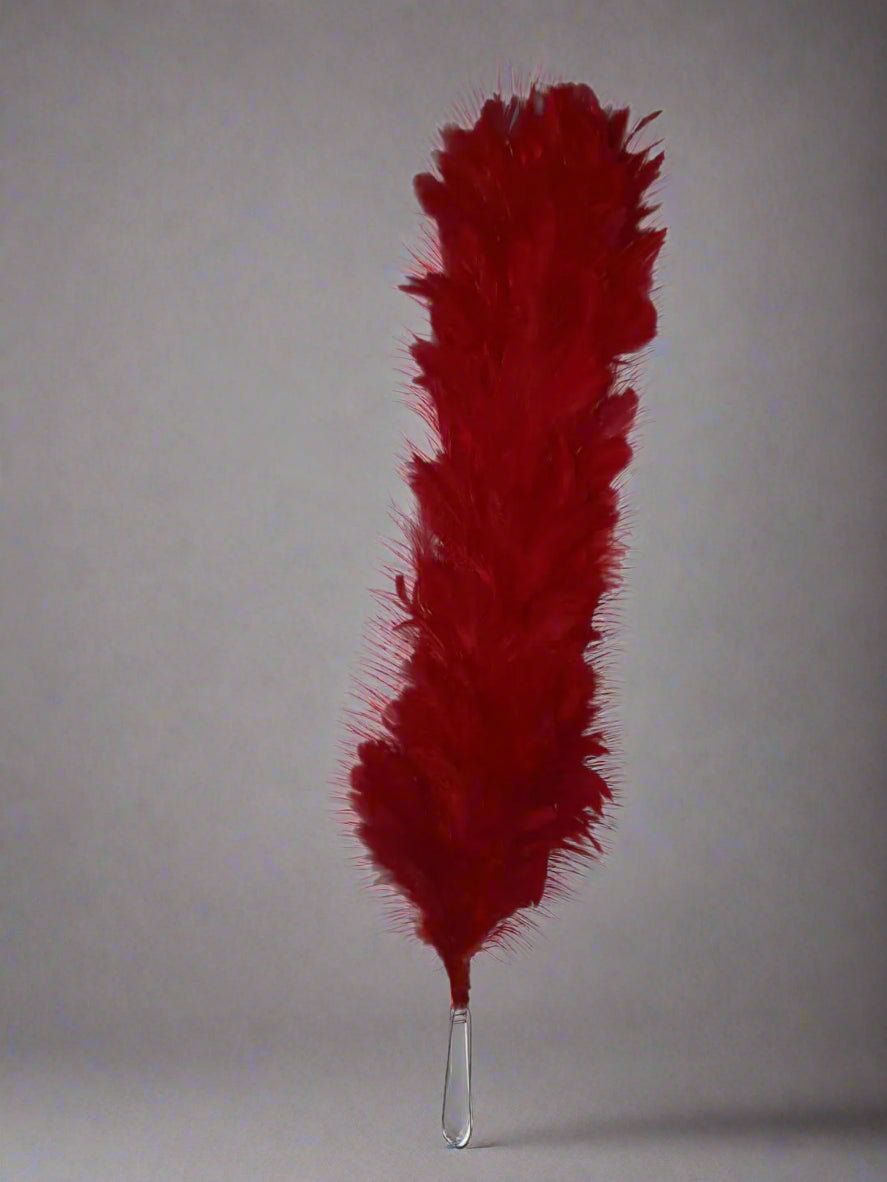 RED HACKLE FEATHER NCC