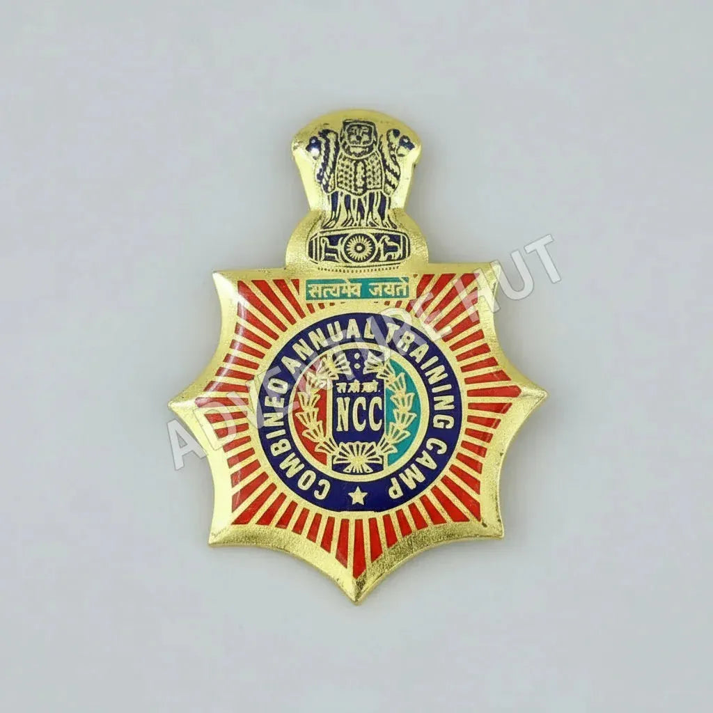 NCC CAMP BADGES SEVEN CORNER ROUND IGC ATC RDC NIC IGSC CATC TSC
