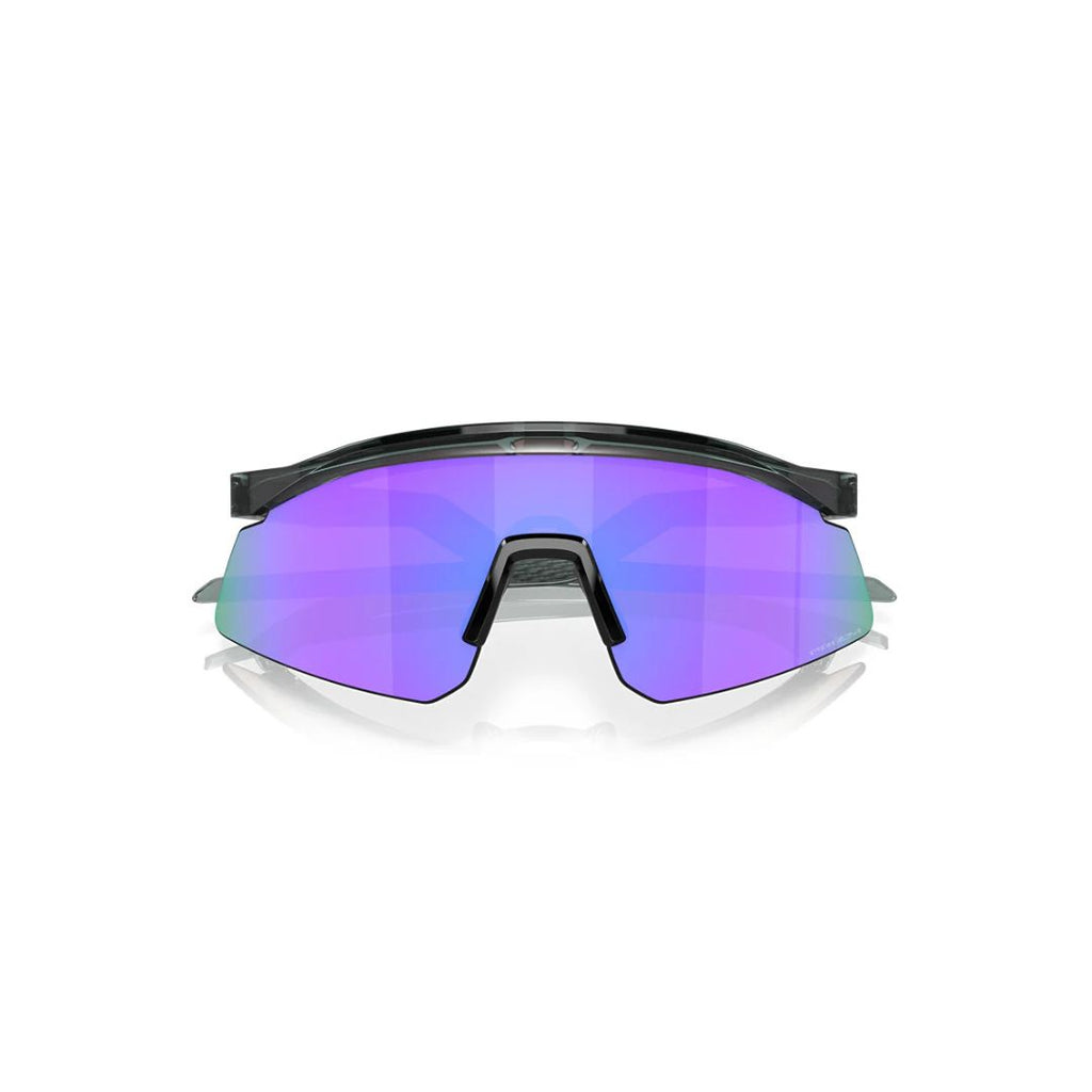 ADVENTURE HUT PRIZM SUNGLASSES (GREY INK )