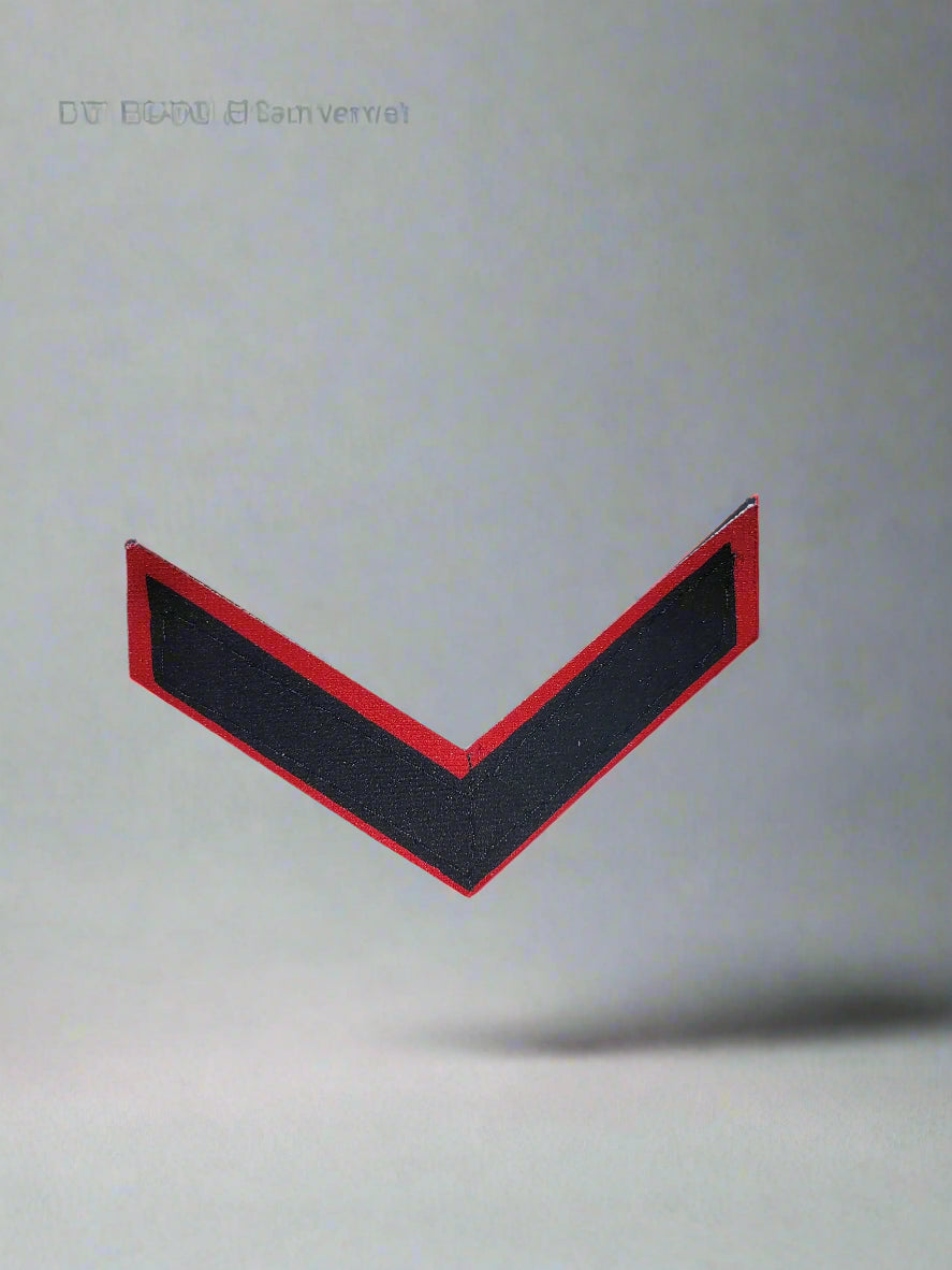 RANK (LCPL LANCE CORPORAL , CPL CORPORAL , SARGENT HAV , CQMS)