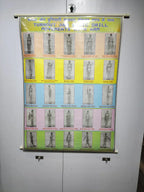 NCC EDUCATIONAL CHART(SET OF 15 CHARTS) - The Adventure Hut