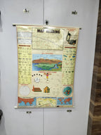 NCC EDUCATIONAL CHART(SET OF 15 CHARTS) - The Adventure Hut