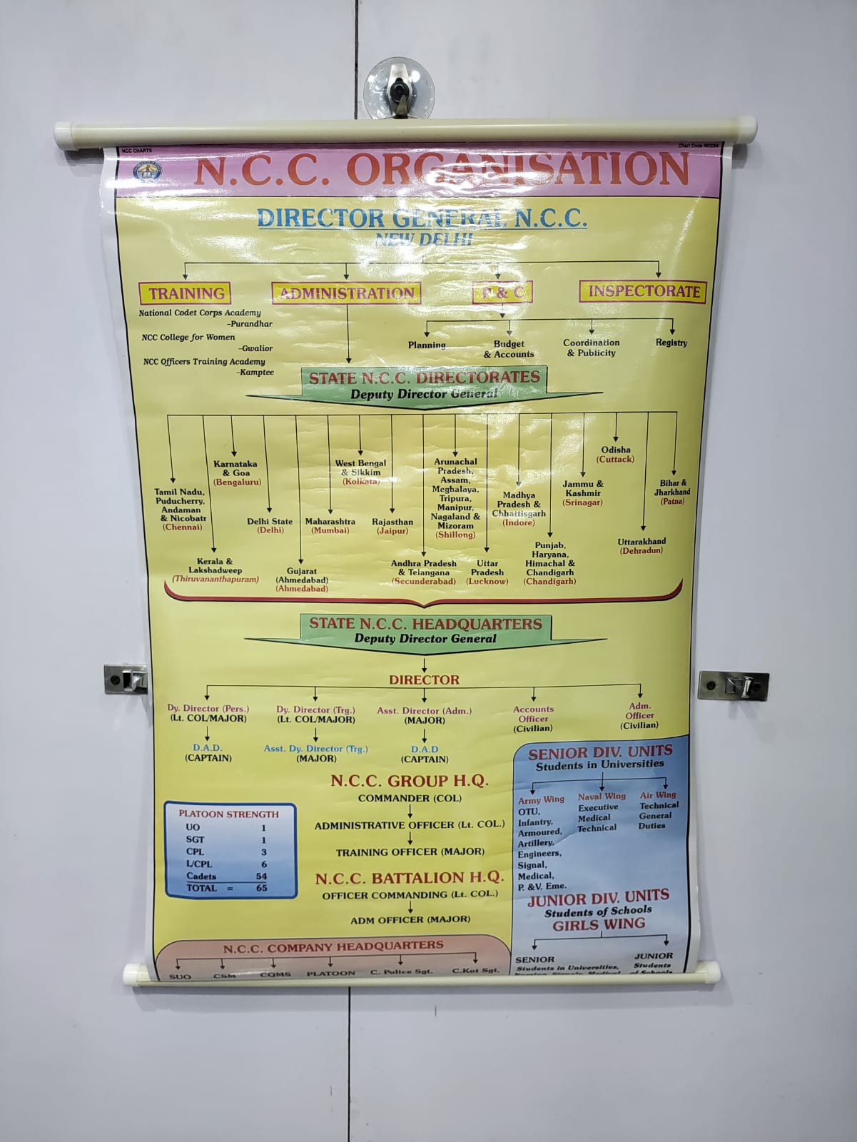 NCC EDUCATIONAL CHART(SET OF 15 CHARTS)