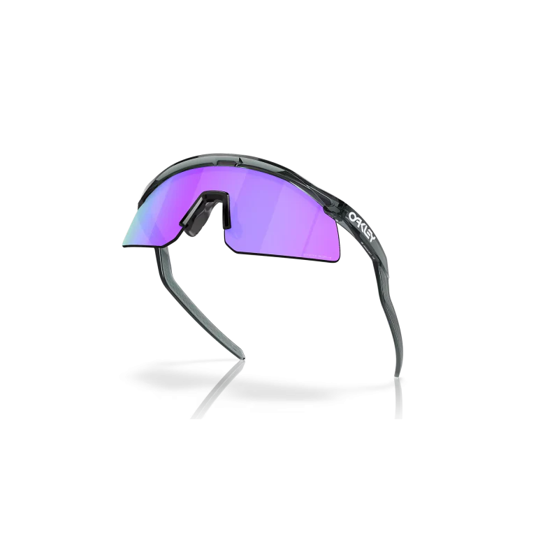 ADVENTURE HUT PRIZM SUNGLASSES (GREY INK )